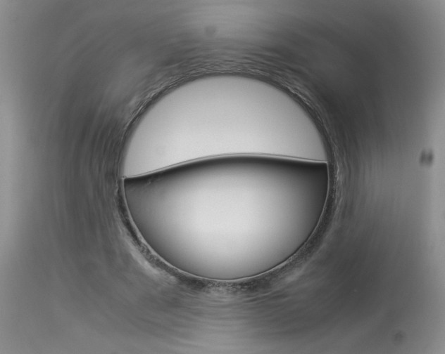 X0000113930489200909250919