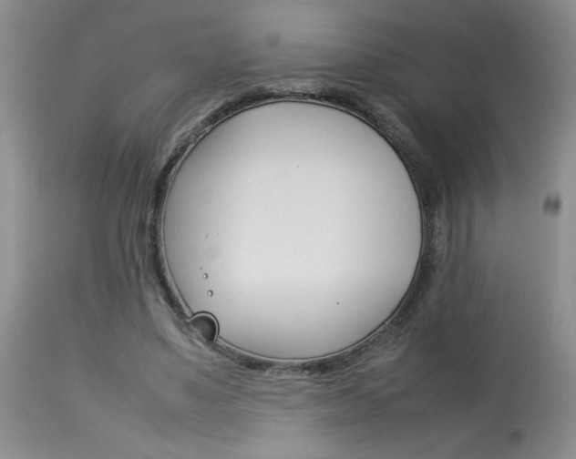 X0000113930491200909250919