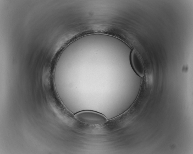 X0000113930492200909250919