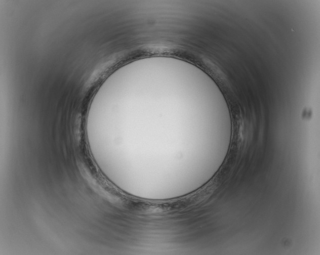 X0000113930494200909250919