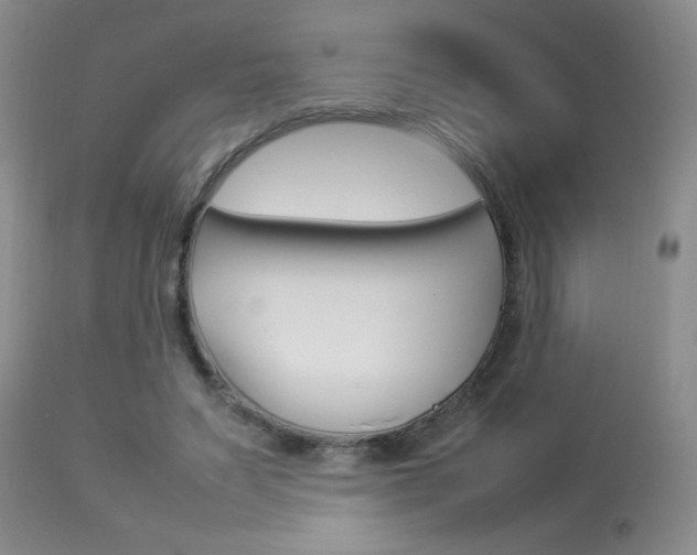 X0000113930495200909250919