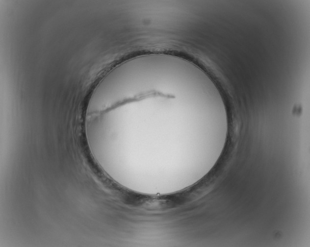 X0000113930497200909250919