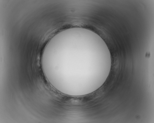 X0000113930502200909250919