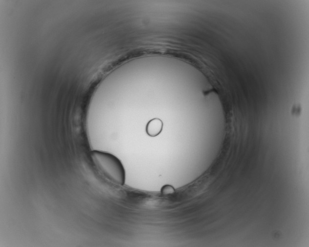 X0000113930504200909250919