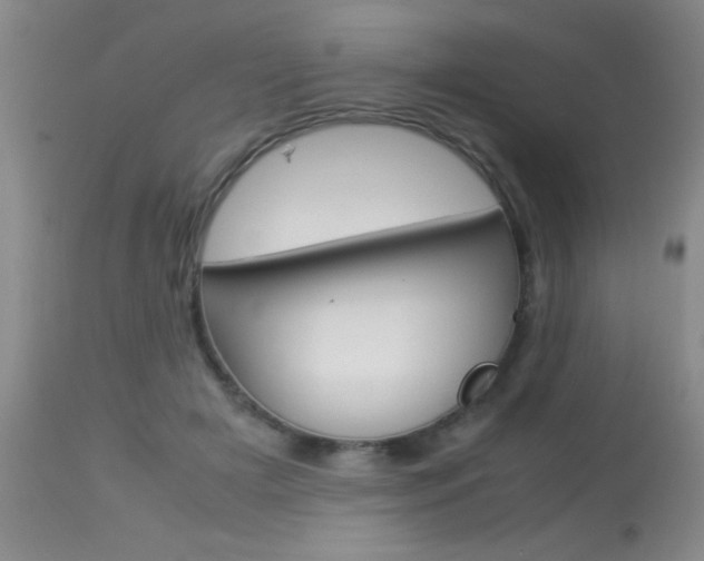 X0000113930505200909250919