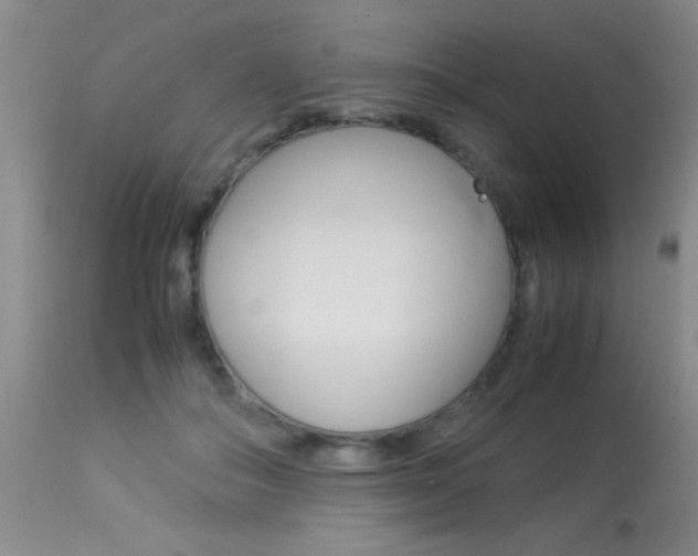 X0000113930506200909250919