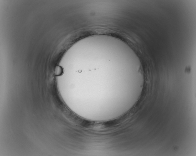 X0000113930507200909250919