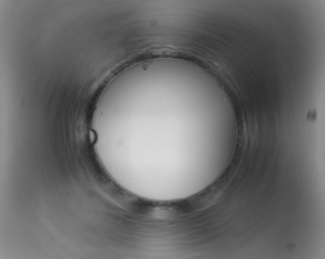 X0000113930508200909250919