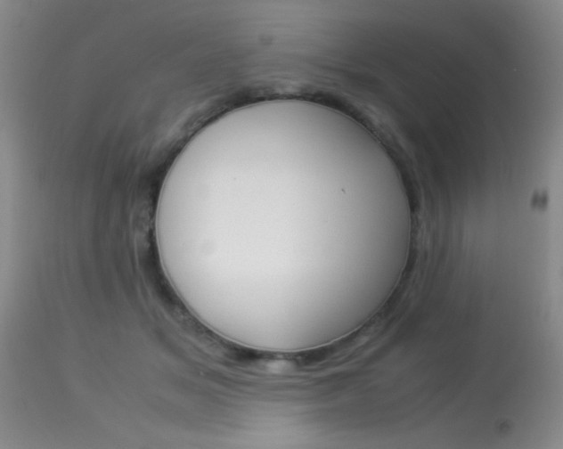 X0000113930509200909250919