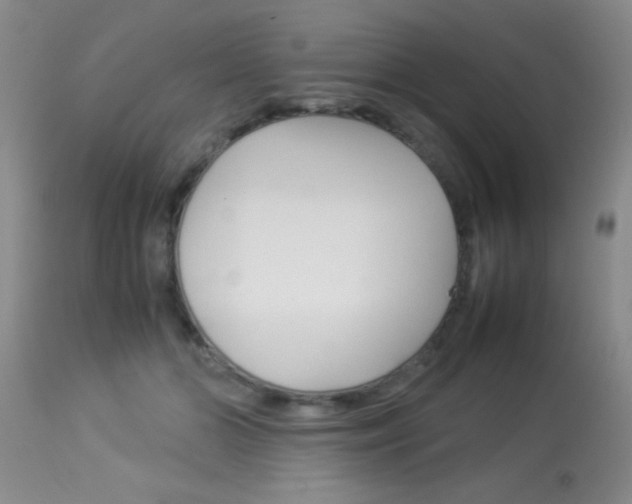 X0000113930510200909250919