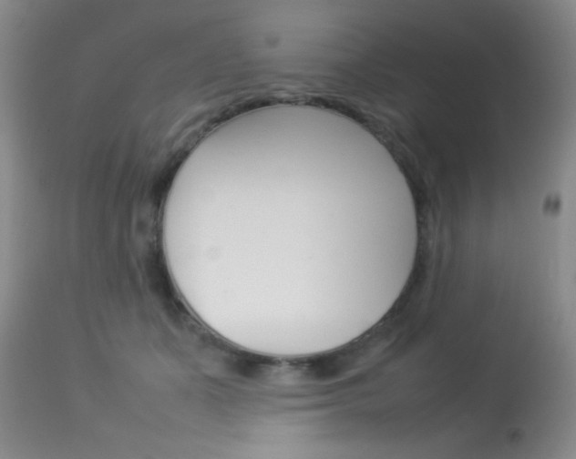 X0000113930511200909250919