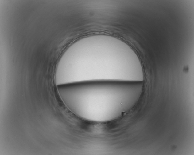 X0000113930513200909250919