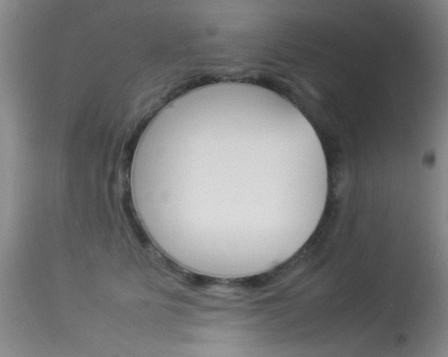 X0000113930515200909250919