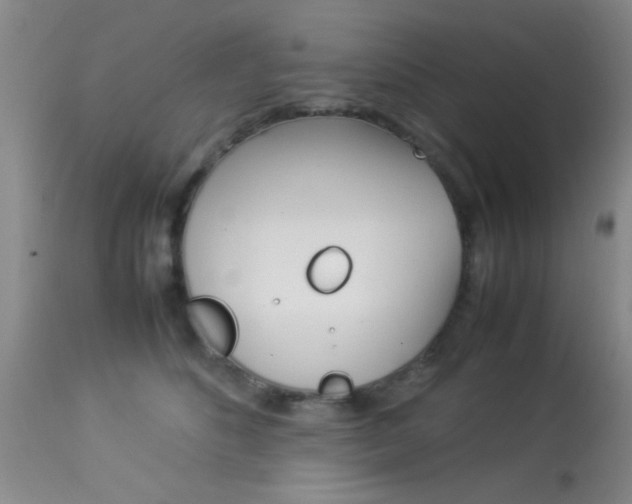 X0000113930516200909250919