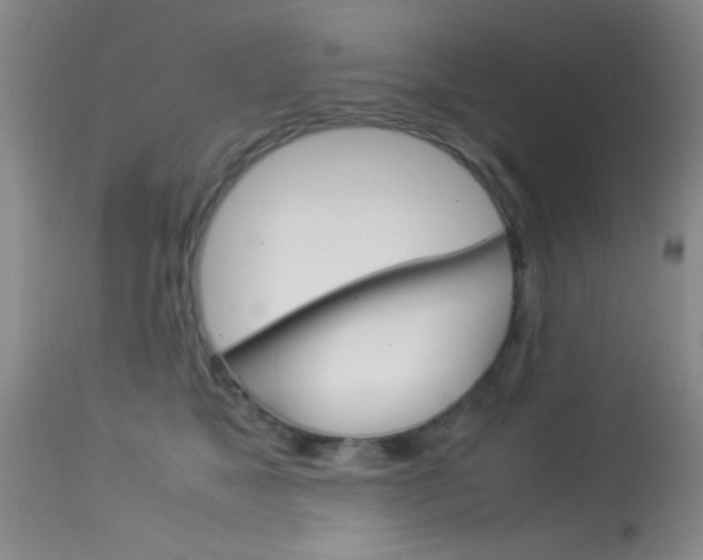 X0000113930517200909250919