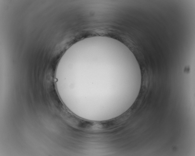 X0000113930518200909250919