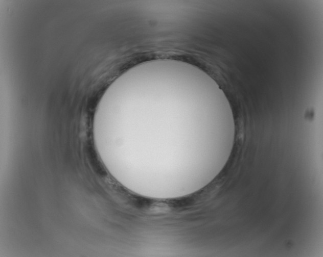 X0000113930519200909250919