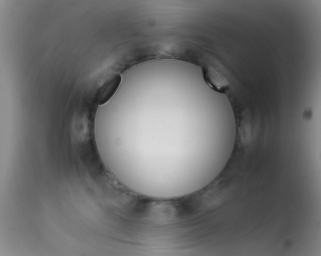 X0000113930520200909250919