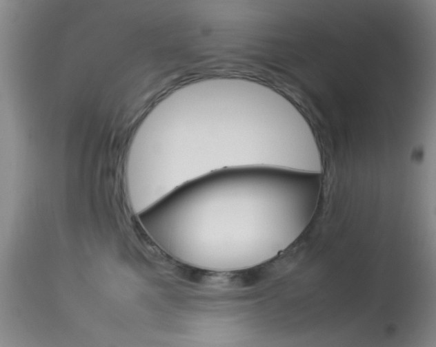 X0000113930521200909250919