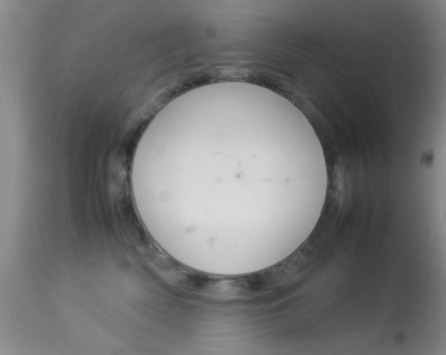 X0000113930522200909250919