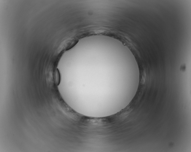 X0000113930524200909250919