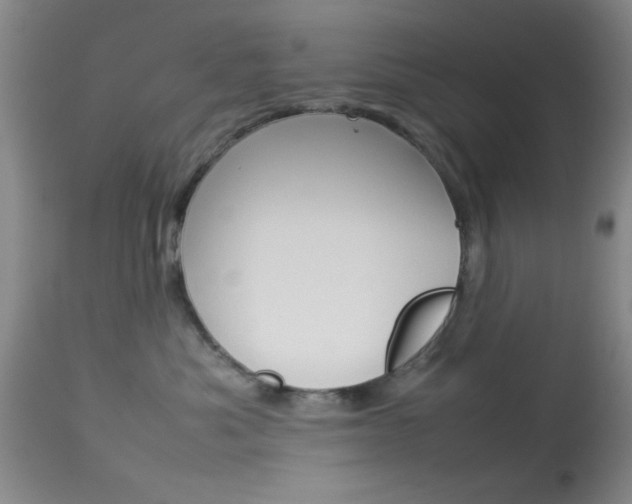 X0000113930525200909250919