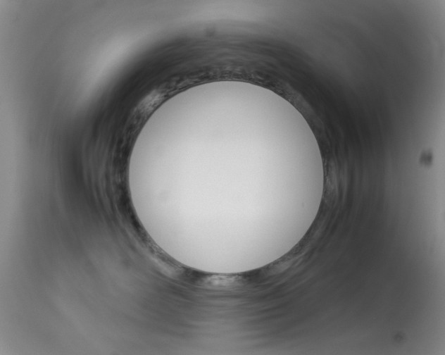 X0000113930526200909250919