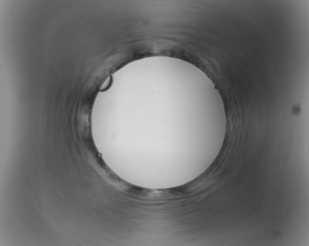X0000113930527200909250919