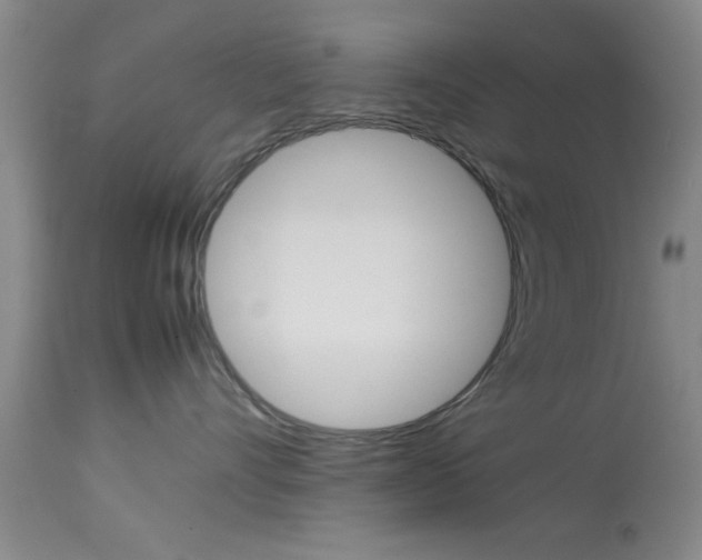 X0000113930528200909250919