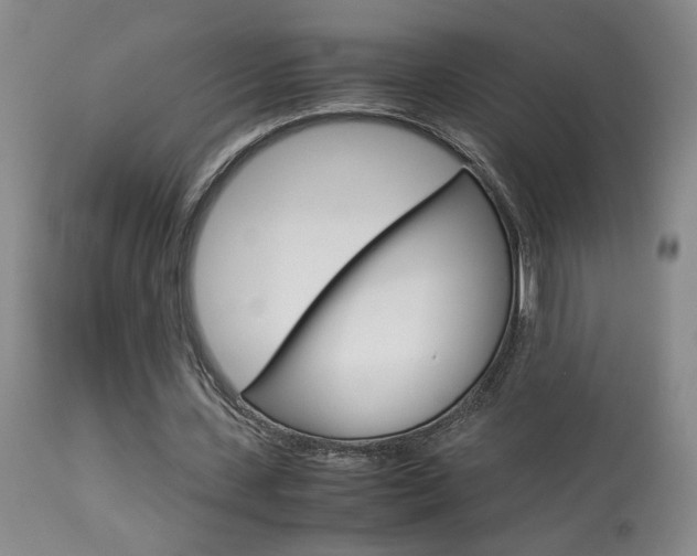 X0000113930531200909250918
