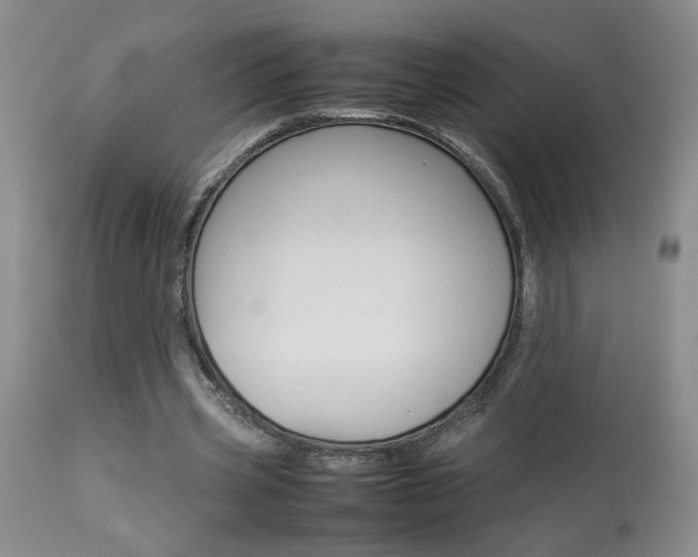 X0000113930533200909250918