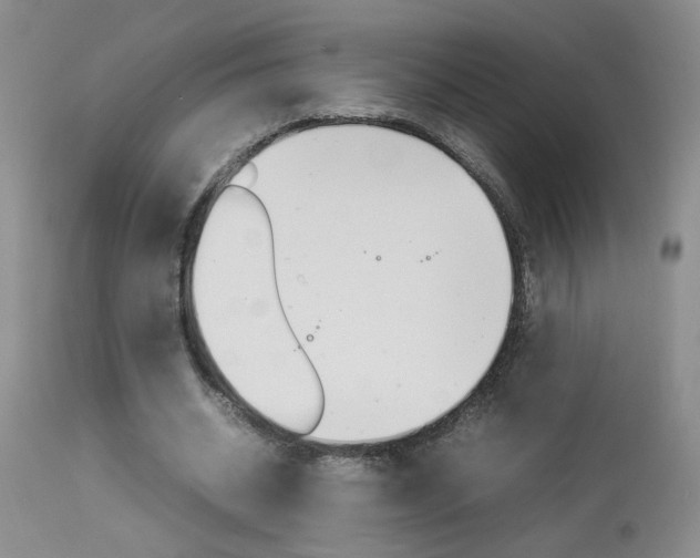 X0000113930534200909250918