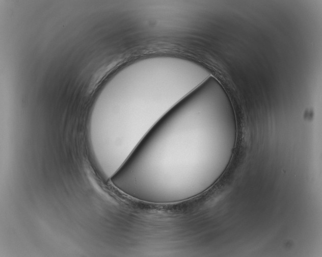 X0000113930538200909250918