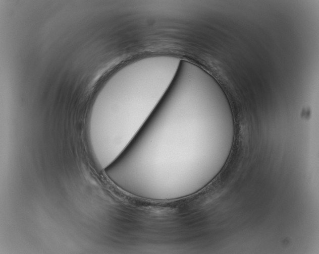 X0000113930539200909250918