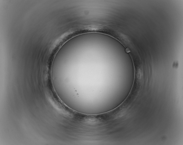 X0000113930540200909250918