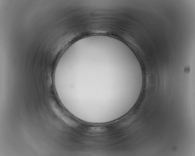 X0000113930541200909250918