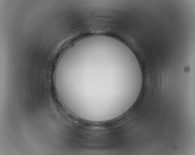 X0000113930543200909250918