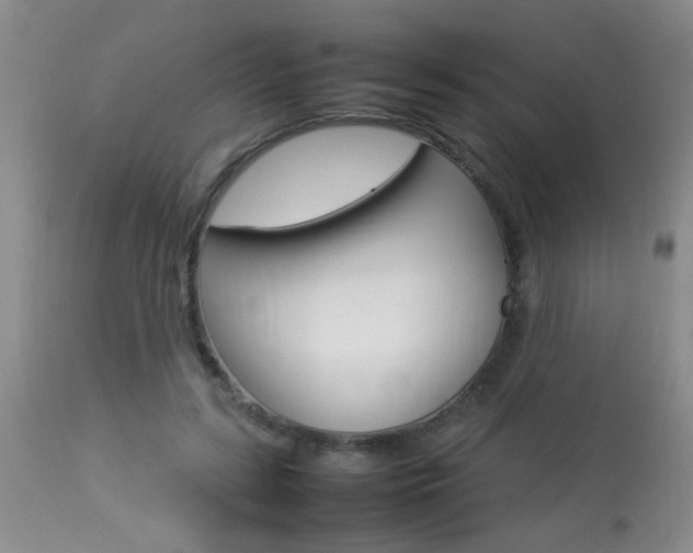X0000113930547200909250918