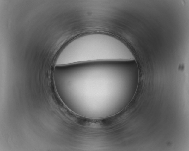 X0000113930548200909250918