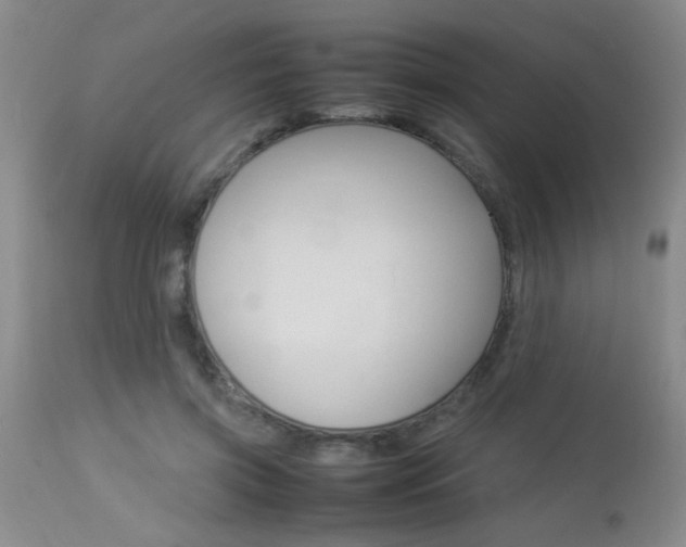 X0000113930549200909250918