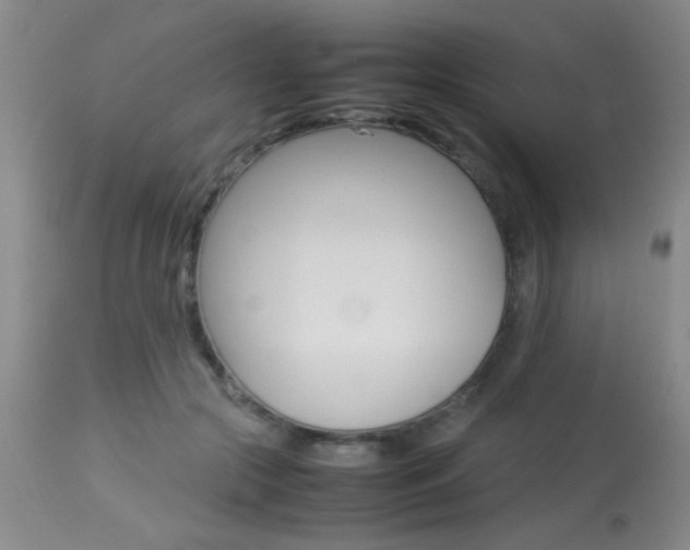 X0000113930553200909250918