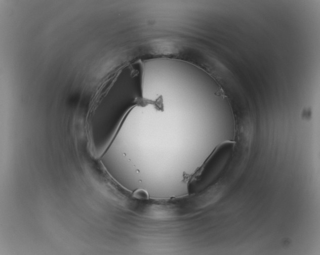 X0000113930556200909250919