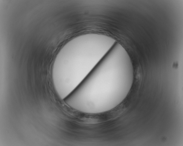 X0000113930559200909250919