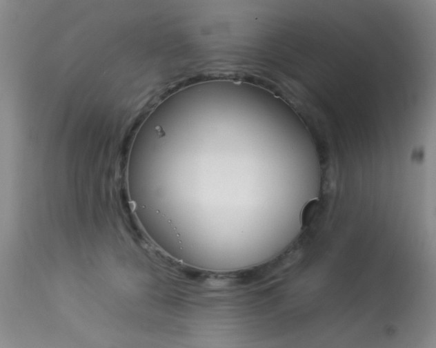 X0000113930560200909250919