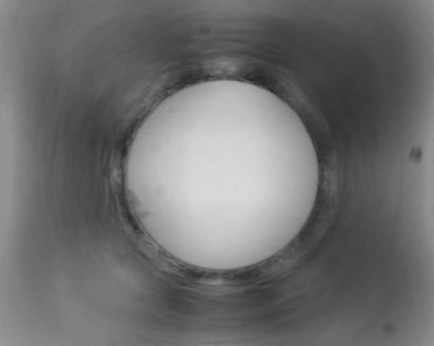 X0000113930561200909250919