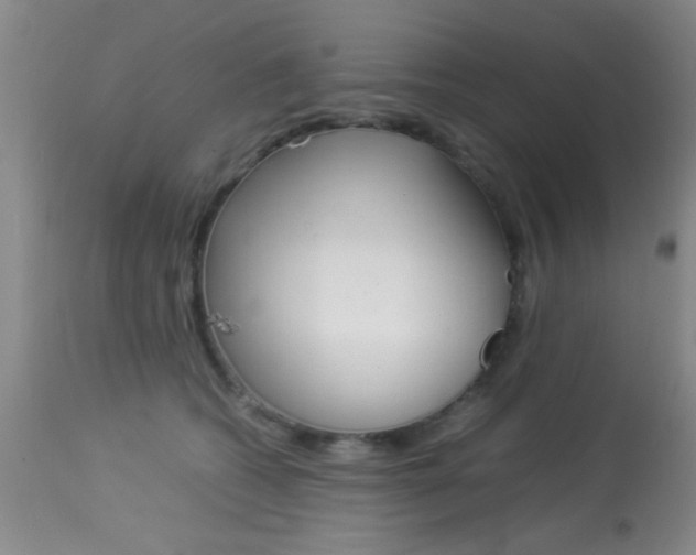 X0000113930562200909250919