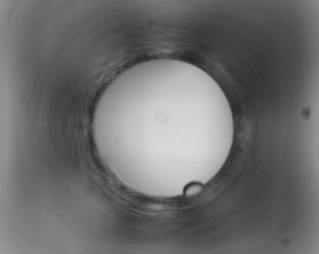 X0000113930563200909250919