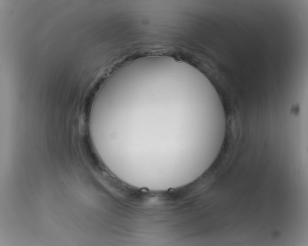 X0000113930564200909250919