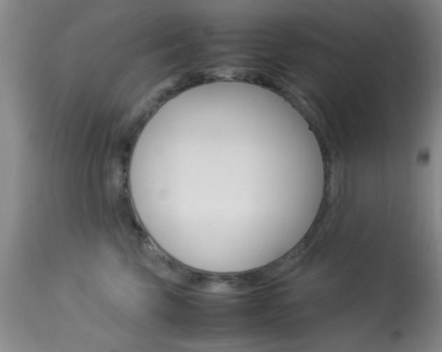X0000113930569200909250919