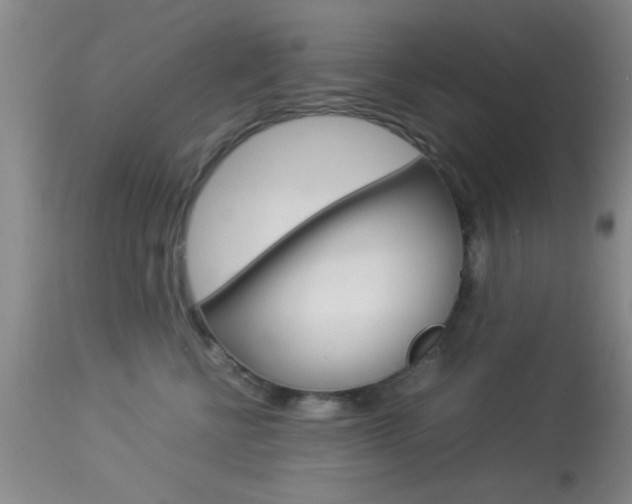 X0000113930570200909250919